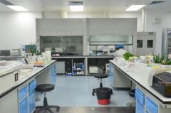 河南食品分子生物检验科实验室装饰要求